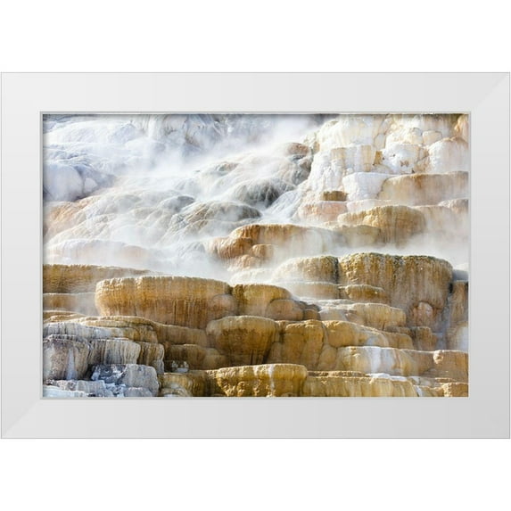 Frank, Jacob W. 18x13 White Modern Wood Framed Museum Art Print Titled - Steam Rising from Palete Spring, Yellowstone National Park