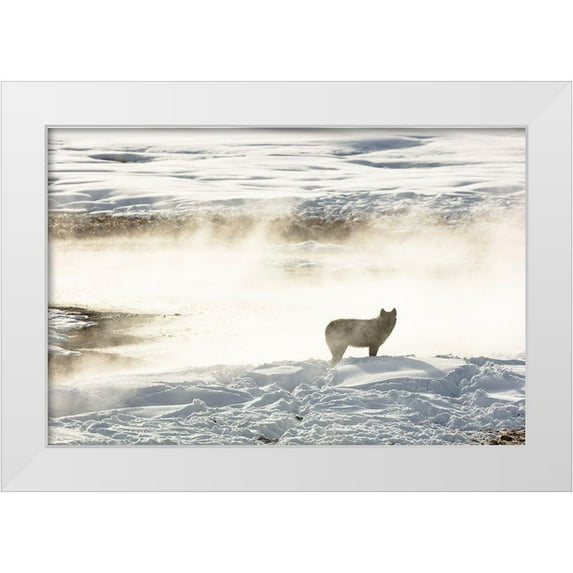 Frank, Jacob W. 18x13 White Modern Wood Framed Museum Art Print Titled - Wolf of the Wapiti Lake Pack, Yellowstone National Park