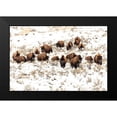 thumbnail image 1 of Frank, Jacob W. 24x17 Black Modern Framed Museum Art Print Titled - Bison near Blacktail Ponds, Yellowstone National Park, 1 of 4