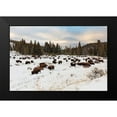 thumbnail image 1 of Frank, Jacob W. 24x17 Black Modern Framed Museum Art Print Titled - Bison near Wraith Falls Trailhead, Yellowstone National Park, 1 of 4