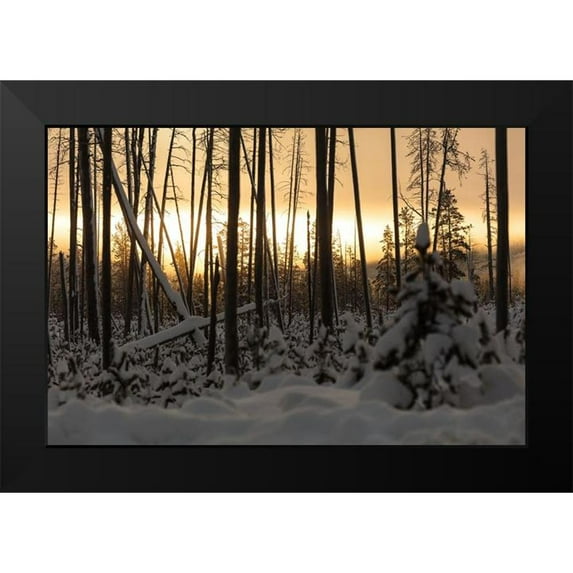 Frank, Jacob W. 24x17 Black Modern Framed Museum Art Print Titled - Sunrise at Norris Junction, Yellowstone National Park