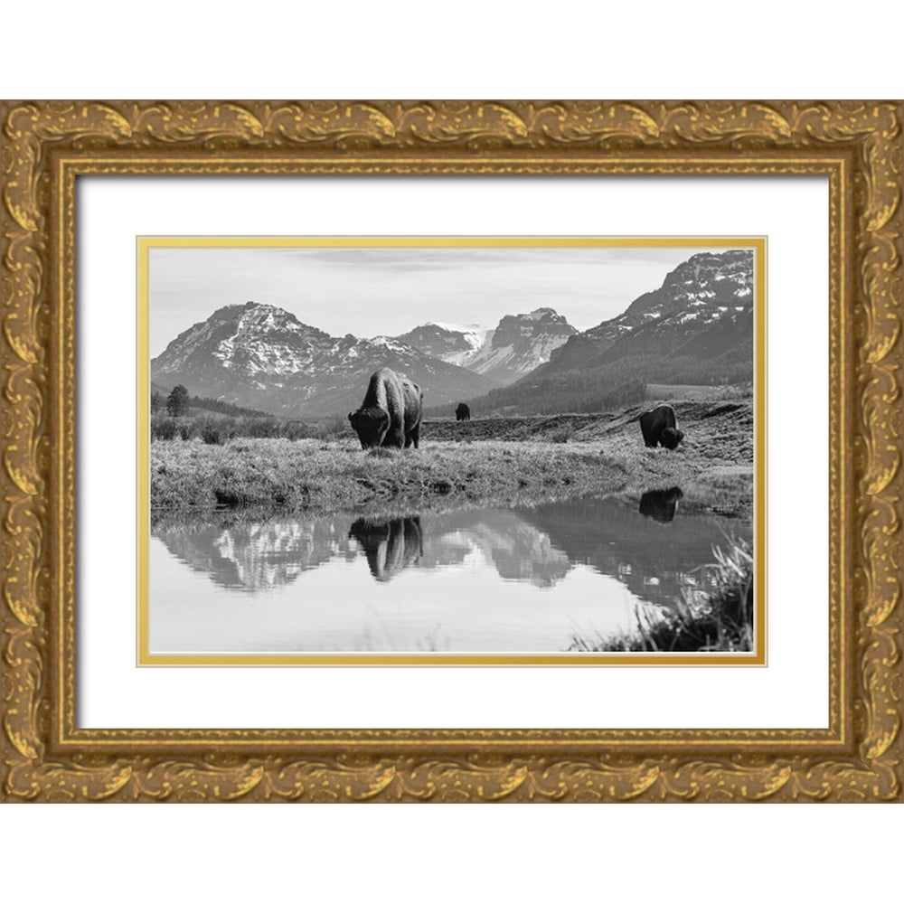Frank, Jacob W. 24x17 Gold Ornate Wood Framed with Double Matting ...
