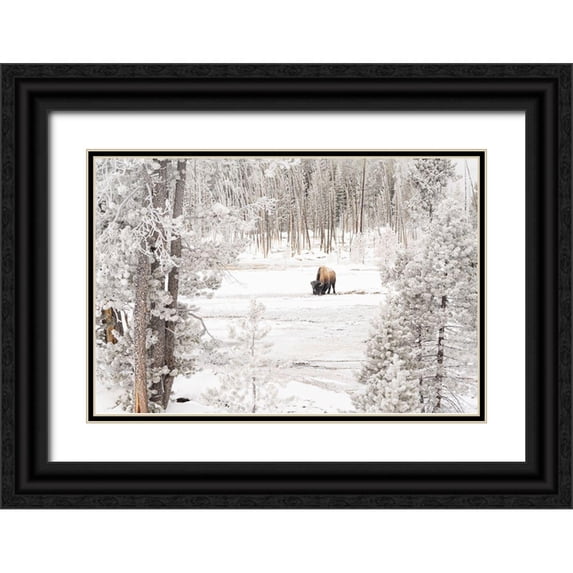 Frank, Jacob W. 32x23 Black Ornate Wood Framed with Double Matting Museum Art Print Titled - Bison in Norris Geyser Basin, Yellowstone National Park
