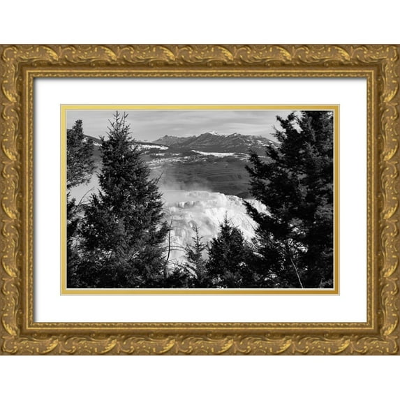 Frank, Jacob W. 32x23 Gold Ornate Wood Framed with Double Matting Museum Art Print Titled - Canary Spring, Yellowstone National Park