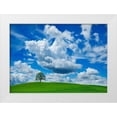 thumbnail image 1 of Frank, Krahmer 24x18 White Modern Wood Framed Museum Art Print Titled - Oak and clouds, Bavaria, Germany, 1 of 4