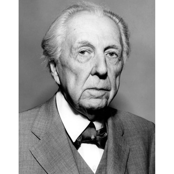 Frank Lloyd Wright History (24 x 36)