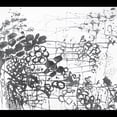 thumbnail image 1 of Frank London - Brass Conspiracy - Music & Performance - CD, 1 of 1