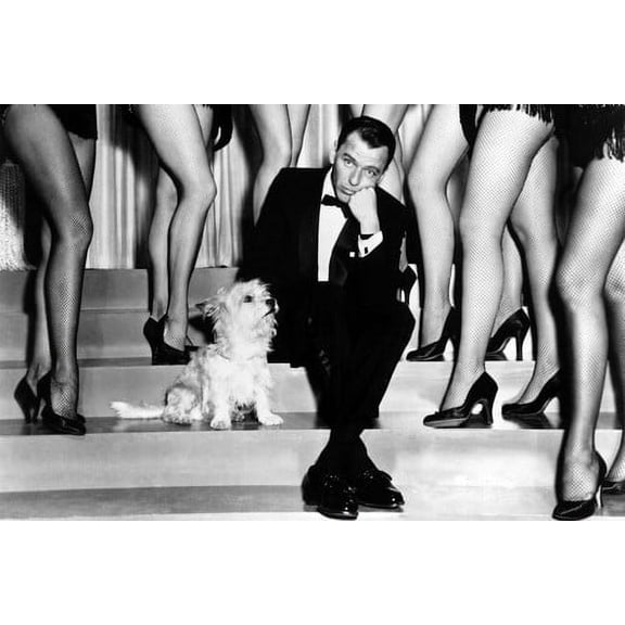 Frank Sinatra 24X36 Poster Pal Joey posing with small dog in front of showgirl dancer legs!