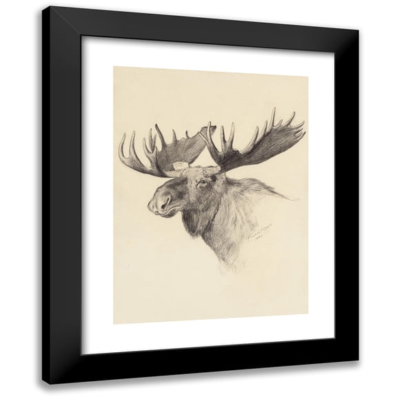 Frank Tenney Johnson 11x14 Black Modern Framed Museum Art Print Titled - Moose Head (1903)