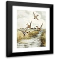 thumbnail image 1 of Frank Weston Benson 11x14 Black Modern Framed Museum Art Print Titled - Rising Mallard (1922-1926), 1 of 5