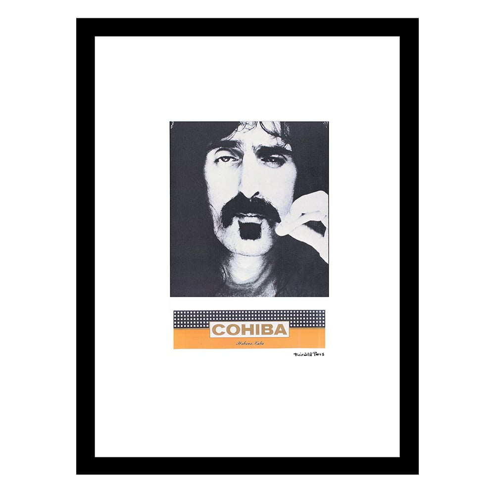Frank Zappa Was Known For His Free-Form Improvisation and Mical Virtuosity - Framed Print