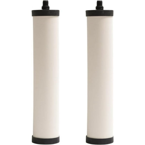 Franke FRC06-2Pk Filter Cartridge Chlorine 2Pack