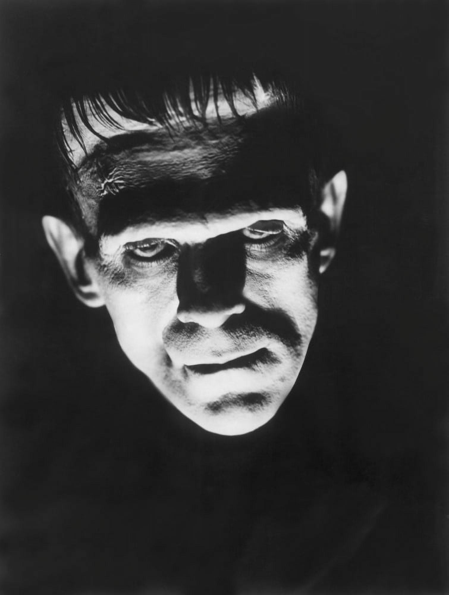 Frankenstein Canvas Art - (16 x 20)