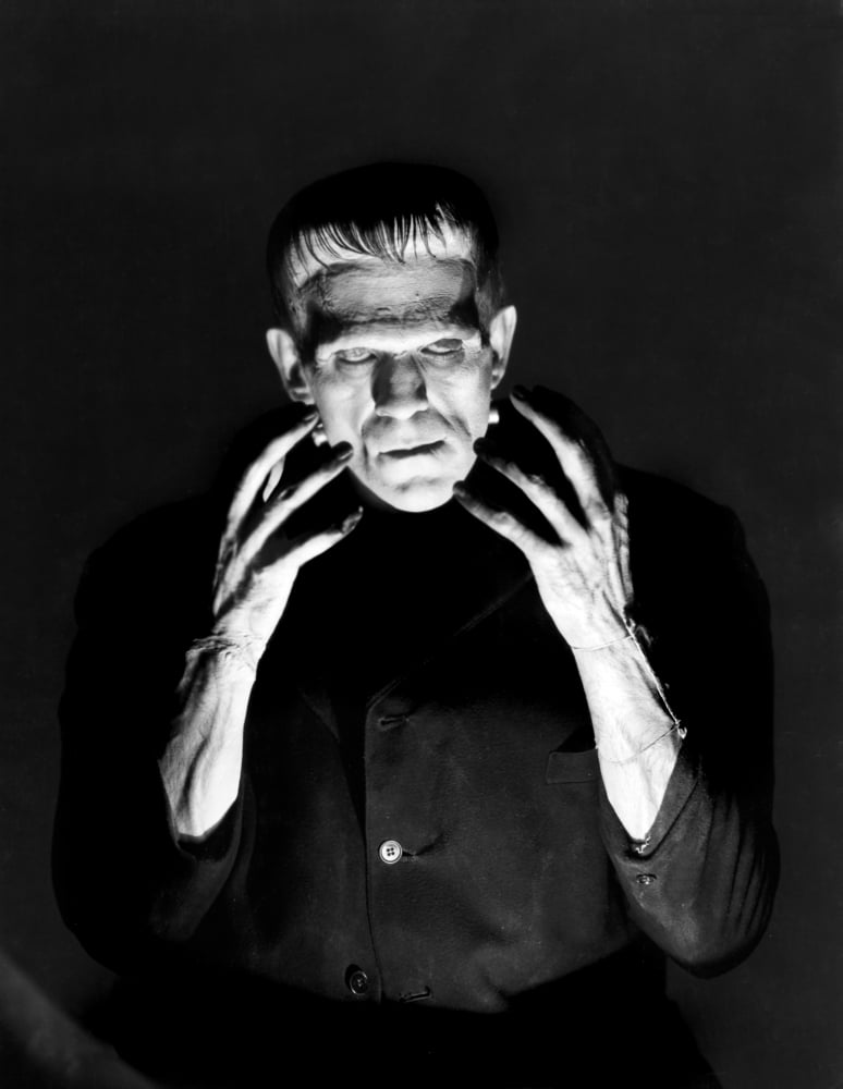 Frankenstein Canvas Art - (16 x 20)