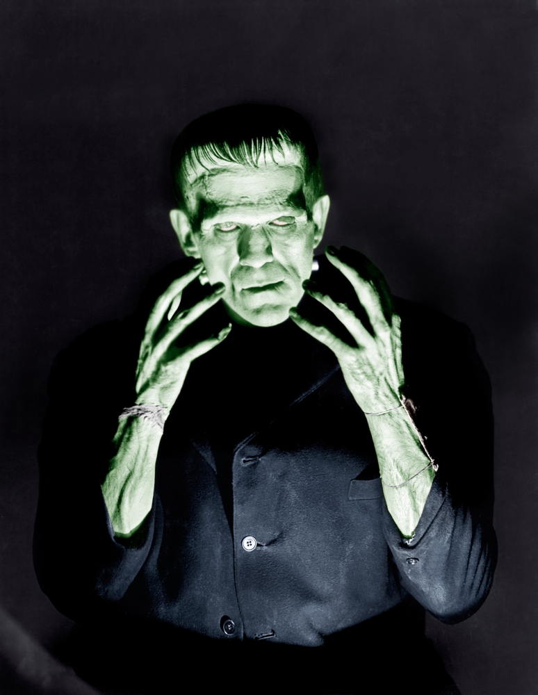 Frankenstein Canvas Art - (16 x 20)
