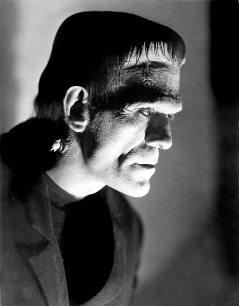 Frankenstein Canvas Art - (16 x 20)