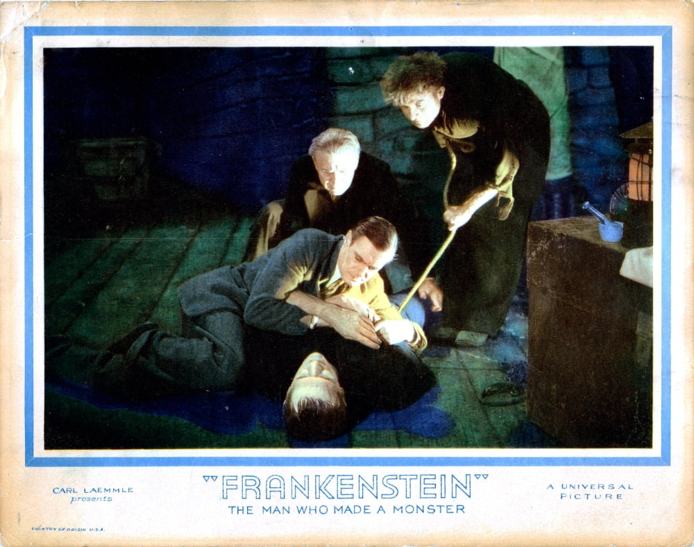 Frankenstein Canvas Art - (28 x 22)