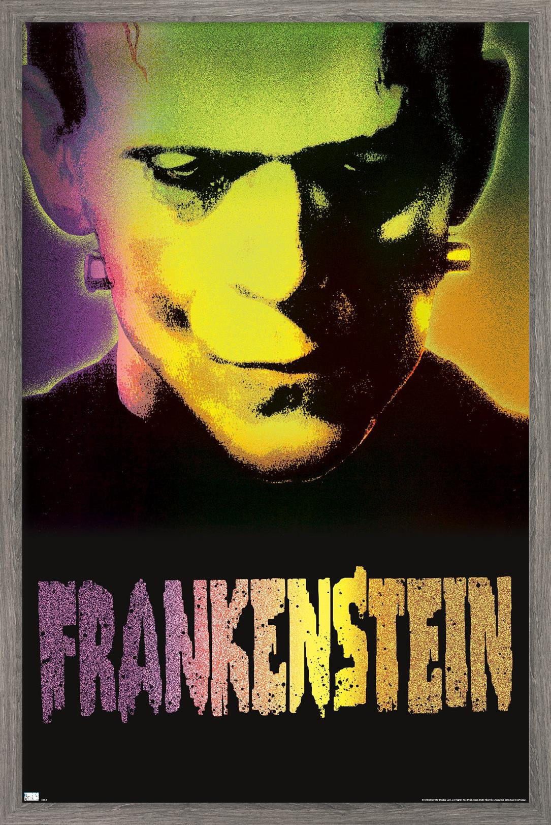 Frankenstein - Close-Up Wall Poster, 14.725" x 22.375" Framed