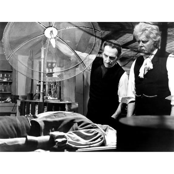 Frankenstein Created Woman Still (20 x 16)