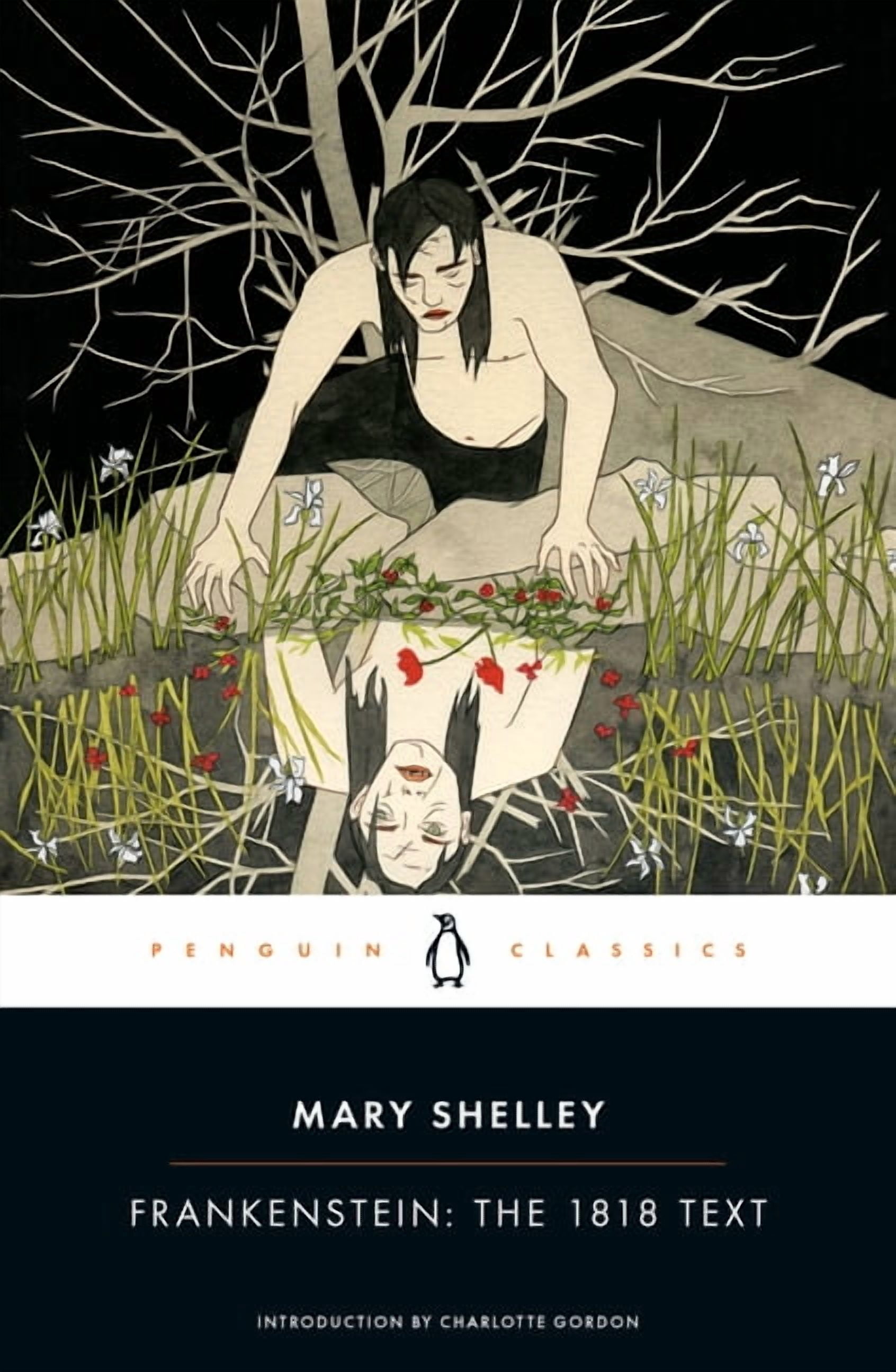Frankenstein-The-1818-Text-