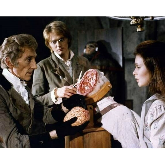 Frankenstein and the Monster From Hell Peter Cushing Madeline Smith Shane Briant