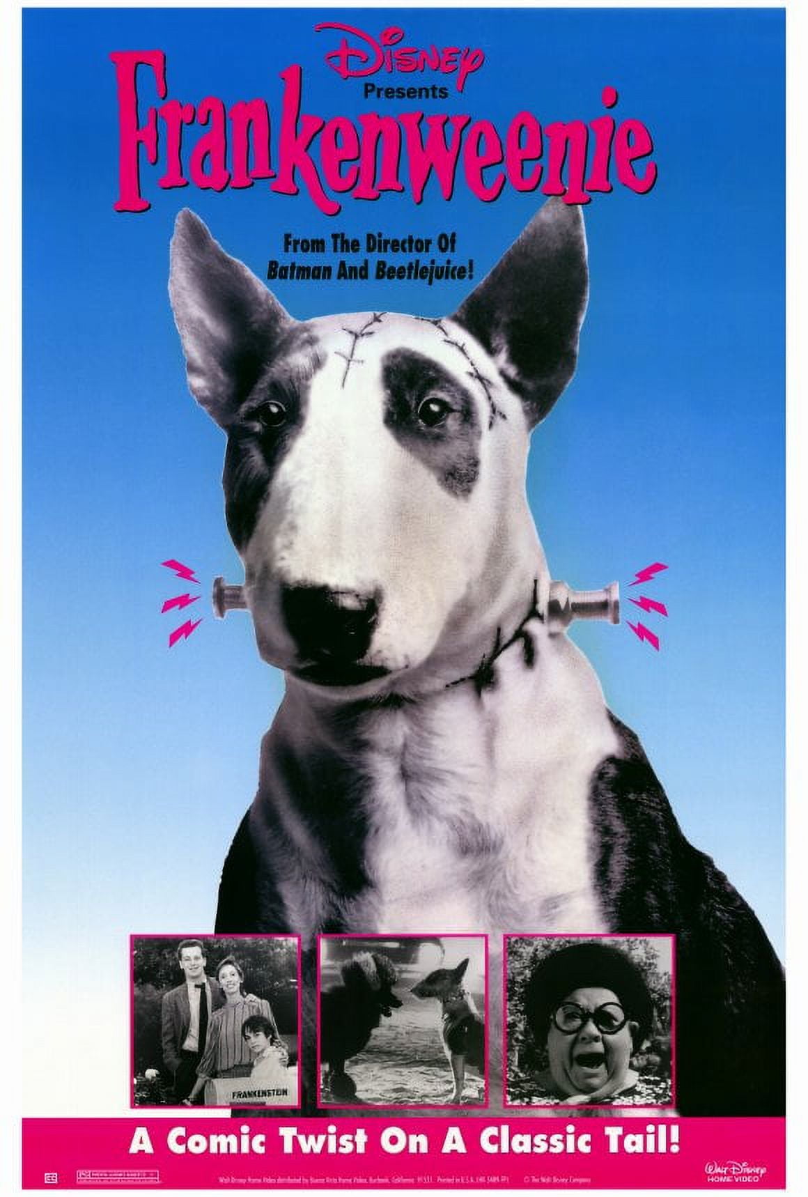 フランケンウィニー : ポスター画像 - 映画.com
