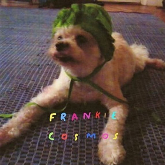 Frankie Cosmos - Zentropy - Music & Performance - CD