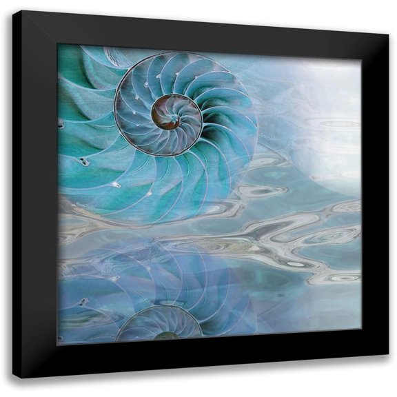 Franklin 12x12 Black Modern Framed Museum Art Print Titled - Nautilus Reflection I