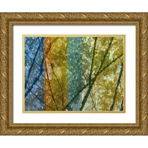 Franklin 14x12 Gold Ornate Wood Framed with Double Matting Museum Art Print Titled - Rainbow Canopy