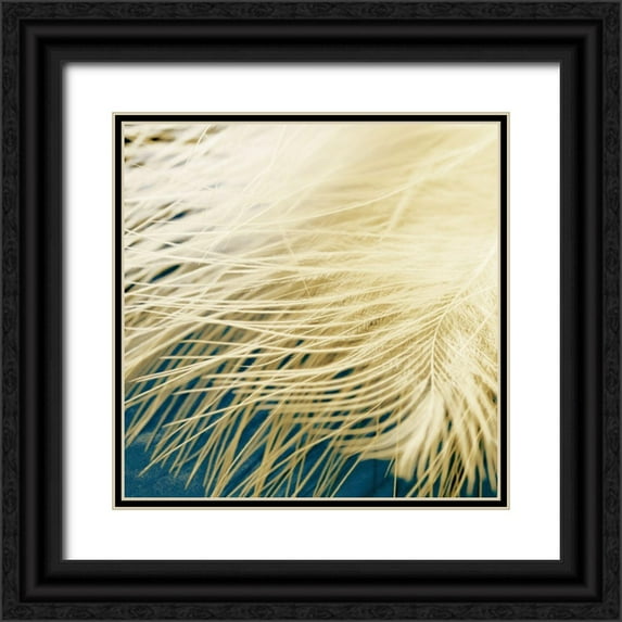 Franklin 15x15 Black Ornate Wood Framed with Double Matting Museum Art Print Titled - Feathergold I