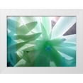 thumbnail image 1 of Franklin 24x19 White Modern Wood Framed Museum Art Print Titled - Floral Shadow, 1 of 4