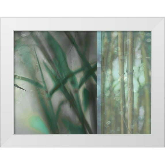 Franklin 24x19 White Modern Wood Framed Museum Art Print Titled - Morning Bamboo I