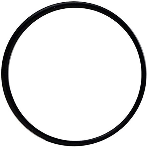 Franklin Electric PT1530 Pressure-Flo Pressurized Filter UV-C Head O-Ring