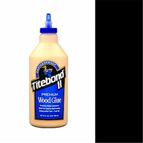 Franklin International 5005 Titebond II Premium Wood Glue