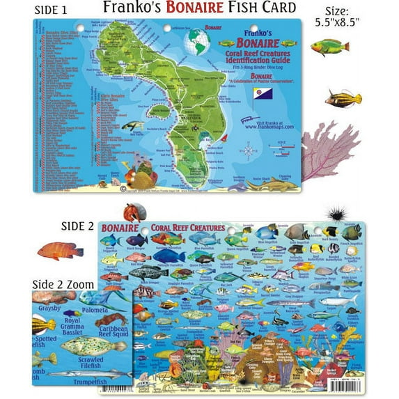 Franko Maps - Bonaire Reef Fish ID