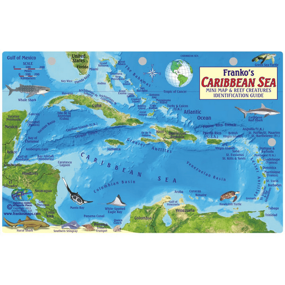 Franko Maps Caribbean Sea Reef Creatures Fish ID-Card
