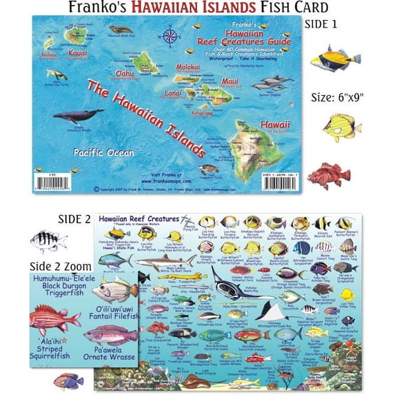 Franko Maps - Hawaiian Islands Reef Fish ID