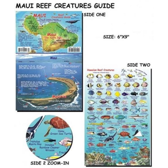 Franko Maps - Maui Reef Fish ID