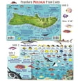 thumbnail image 1 of Franko Maps - Molokai Reef Fish ID, 1 of 1