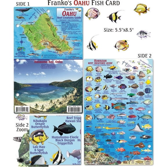 Franko Maps - Oahu Reef Fish ID