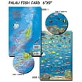 thumbnail image 1 of Franko Maps - Palau Fish ID, 1 of 3