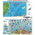 thumbnail image 1 of Franko Maps - Riviera Maya Reef Fish ID, 1 of 3