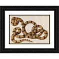 thumbnail image 1 of Franz Anton Von Scheidel 24x18 Black Ornate Framed Double Matted Museum Art Print Titled: Snake (1770), 1 of 5