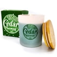 thumbnail image 1 of Fraser Fir Cedar Scented Candle 6 oz - Eastern Red Aromatic Cedar, 1 of 11