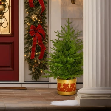 Fraser Hill Farm 3.0-Ft Andirondack Potted Christmas Tree Décor