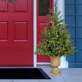thumbnail image 1 of Fraser Hill Farm 3-Ft. Noble Fir Artificial Tree with Metallic Urn Base and Battery-Operated Multi-Colored LED String Lights, FFNF042-6GRB, 1 of 9