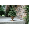 thumbnail image 1 of Fraser Hill Farm 3' Noble Fir Christmas Artificial Tree with Metallic Urn Base, 1 of 10