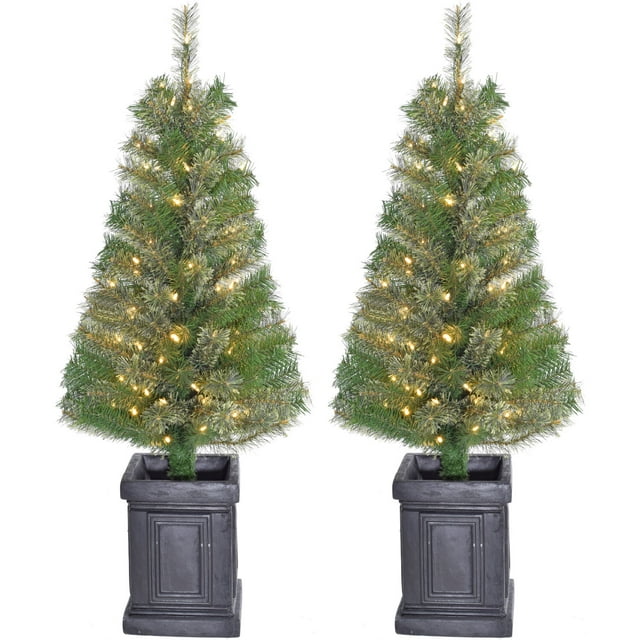 Fraser Hill Farm 4-Ft. Set of 2 Porch Accent Tree in Black Pot with Warm White LED Lighting