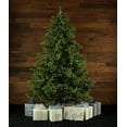 Fraser Hill Farm Prelit LED White Foxtail Pine 9ft. Christmas Tree