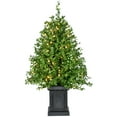 thumbnail image 1 of Fraser Hill Farm 2-Ft. Boxwood Porch Tree in Black Pot with Warm White Lights, FFBXPT024-5GR1, 1 of 4